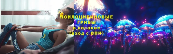 ГАЛЛЮЦИНОГЕННЫЕ ГРИБЫ Вязники