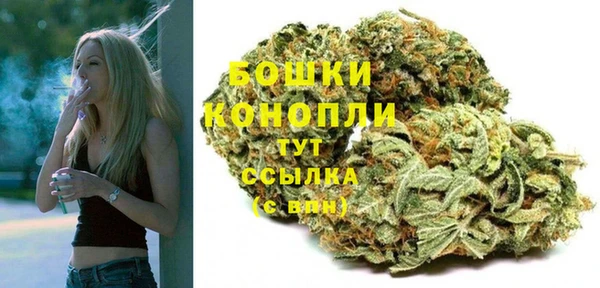 бошки Надым