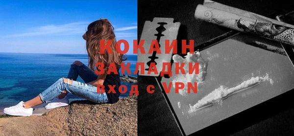 ГАЛЛЮЦИНОГЕННЫЕ ГРИБЫ Вязники