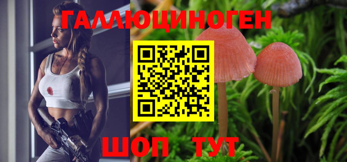 Галлюциногенные грибы Psilocybe  Апрелевка  Псилоцибиновые грибы MAGIC MUSHROOMS 