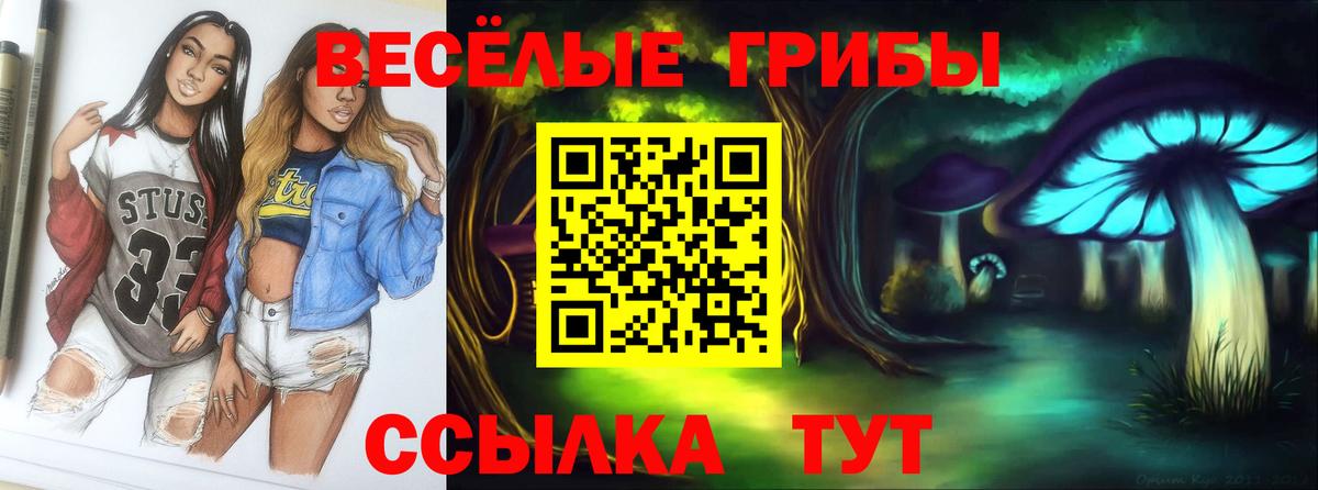 Апрелевка  Галлюциногенные грибы GOLDEN TEACHER  Вход с VPN 